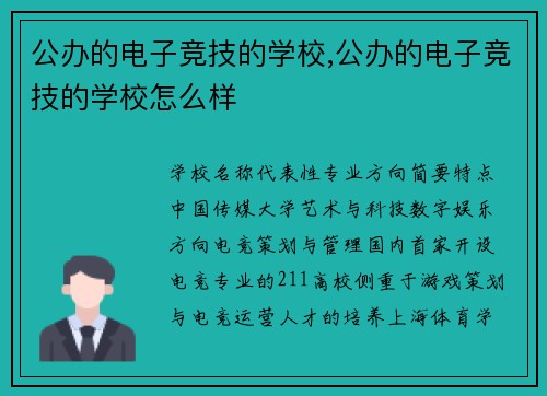 公办的电子竞技的学校,公办的电子竞技的学校怎么样