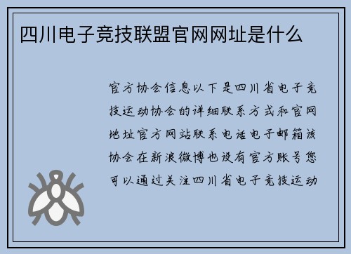 四川电子竞技联盟官网网址是什么
